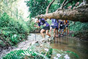 BIB: 
                            <button type="button" onclick="openModal(25475558)" class="btn btn-primary btn-sm float-right btn-popup" data-toggle="modal" data-target=".modal-high-quality">
                        <i class="fas fa-shopping-cart"></i> Add to Cart
                    </button>
                                            <button type="button" onclick="isThisMe(25475558, true)" class="btn btn-success btn-sm float-right btn-popup btn-isme hidden" data-toggle="tooltip" data-placement="bottom" title="นี่คือรูปของคุณใช่ไหม คลิกที่นี่เพื่อเอาเข้าอัลบั้ม">
                        <i class="fas fa-plus"></i> Add to album
                    </button>
                    <button type="button" onclick="isThisMe(25475558, false)" class="btn btn-warning btn-sm float-right btn-popup btn-isnotme hidden">
                        <i class="fas fa-ban"></i> Remove from album
                    </button>